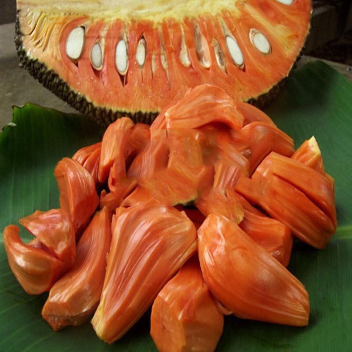 Những năm gần đây, mít ruột đỏ có nguồn gốc từ Malaysia được giới sành ăn tìm mua, loại nhập khẩu có giá từ 260.000 - 300.000 đồng/kg đã bóc múi sẵn.