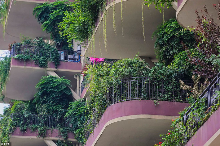 Qiyi City Forest Garden chỉ là một trong nhiều dự án “xanh” nhằm cải thiện chất lượng không khí ở các thành phố của Trung Quốc. Nguồn ảnh: EPA.