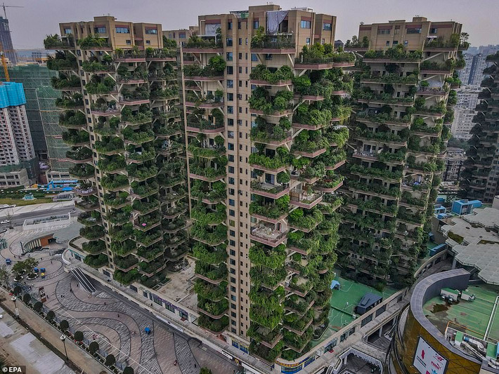 Tọa lạc phía tây nam Thành Đô (Tứ Xuyên, Trung Quốc), Qiyi City Forest Garden là dự án chung cư theo lối kiến trúc xanh được xây dựng từ năm 2018.