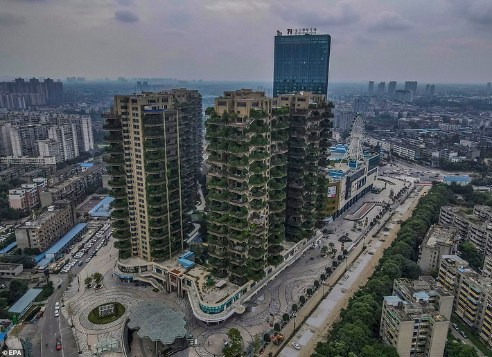 Để giải quyết vấn đề này, nhà phát triển dự án cho biết sẽ bảo trì bốn lần một năm, đồng thời đẩy mạnh các nỗ lực kiểm soát côn trùng gây hại.