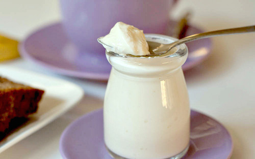 Thực phẩm chữa hôi miệng tại nhà. Sữa chua. Vì sữa chua có chứa probiotics có thể giúp ‘tống khứ’ các loại vi khuẩn gây mùi hôi trong miệng, mang lại cho bạn một hơi thở thơm mát.