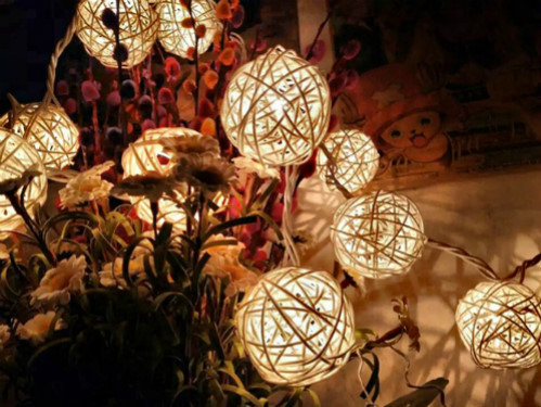 Bộ đèn trang trí quả cầu lưới chắc chắn sẽ khiến cành đào, nụ tầm xuân ngày Tết thêm rực rỡ.