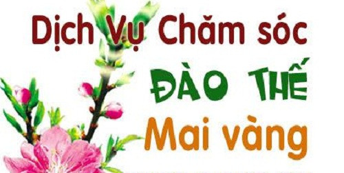 Dịch vụ chăm sóc cây cảnh sau Tết cũng được trả công khá công khá cao, dao động từ 2 đến 10 triệu đồng/cây. Tùy vào mức độ khó dễ của cây cảnh cũng như giá trị cây cảnh mà nhà vượn định giá cho người làm. Ảnh : Youtube.