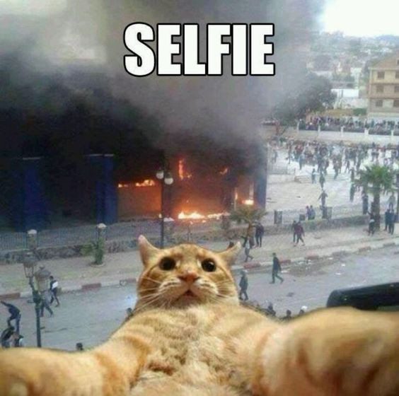 Để có bức ảnh selfie cực độc, cần phải liều một chút. Ảnh: Printest.
