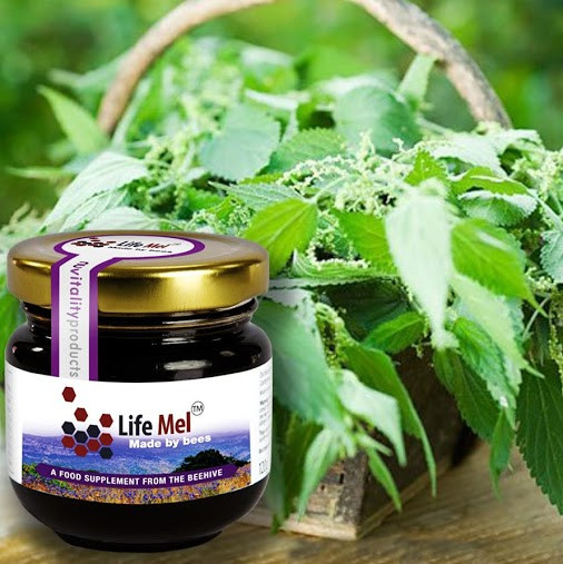 Được biết Mel là loại mật ong lấy từ những con ong được nuôi dưỡng bằng các loại thảo mộc đặc biệt ở Israel. Ảnh: NatuReplica.