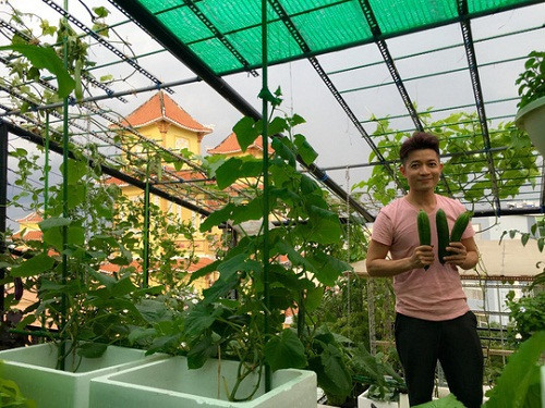 Nhà thiết kế nổi tiếng Thuận Việt là một trong những sao Việt từng khiến nhiều người ngưỡng mộ với giàn mướp trĩu quả trên sân thượng.