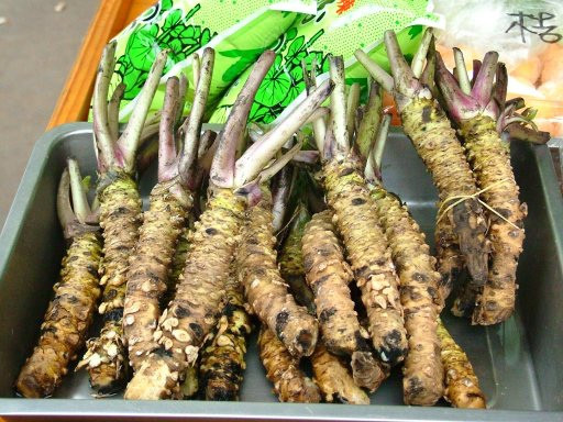 Cây wasabi không tiếp xúc nhiều với ánh nắng mặt trời và phải ở độ cao phù hợp. Ảnh: Sohu.