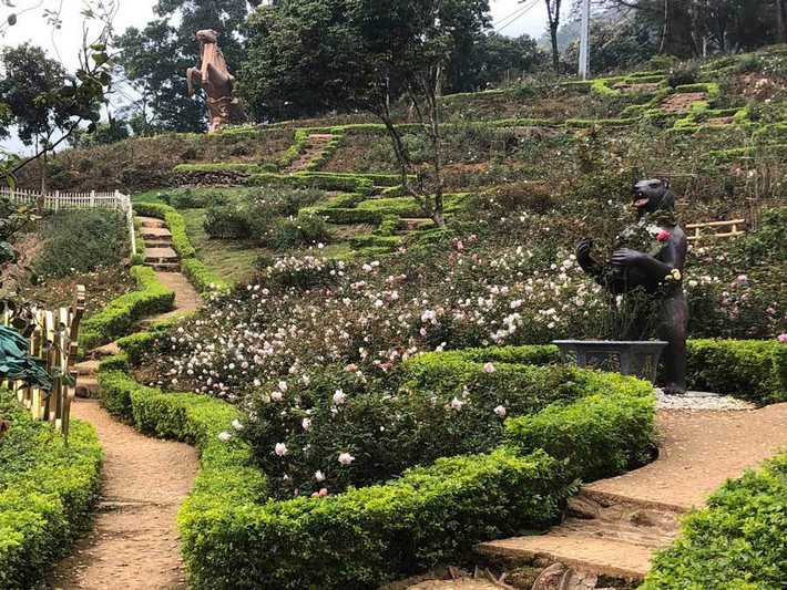 Cách trung tâm Hà Nội khoảng 50km, vườn hồng rộng 3,5ha thôn Muồng Châu, xã Vân Hòa (Ba Vì, Hà Nội) được Guiness Việt Nam công nhận là vườn hồng lớn nhất Việt Nam. Ảnh: Vietnamnet.