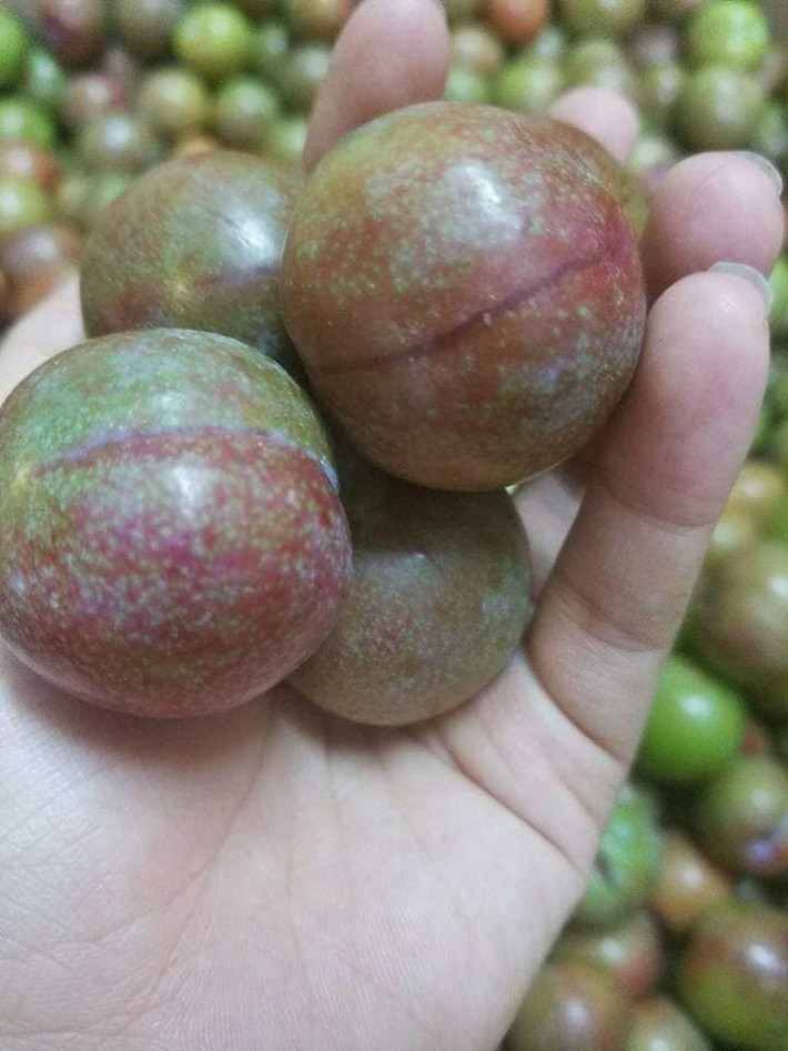 Dù chưa chính thức vào mùa nhưng tại Hà Nội đã xuất hiện người bán mận hậu Mộc Châu chín đỏ với giá bán lên tới 250.000 đồng/kg. Ảnh: FB Nguyễn Long.