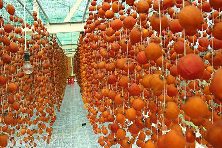 Một trong những đặc sản ngon, đẹp, lạ của Lâm Đồng nói chung và Đà Lạt nói riêng đó là hồng treo. Người dân làm hồng treo ở đây đã xây dựng được thương hiệu riêng của mình.
