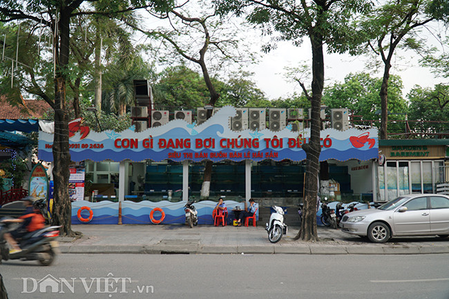 Tuy nhiên khu vực tiếp giáp với đường Đào Tấn có mặt tiền dài hàng trăm mét vốn là hàng rào của công viên cũng “hô biến” thành một chuỗi các hàng ăn, quán nhậu, gara sửa ôtô, quán café; nhiều cửa hàng được xây dựng kiên cố, hoạt động rầm rộ. Hằng ngày, khách ra vào nườm nượp, ôtô, xe máy đỗ tràn cả lên phía vỉa hè.
