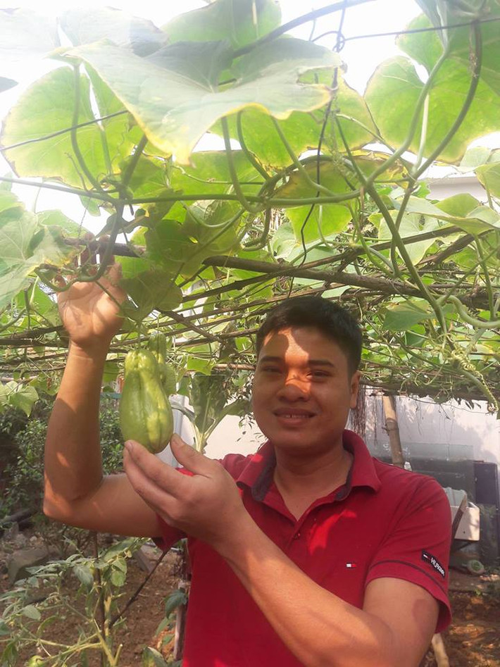 Anh Quang Huy - chủ nhân của khu vườn rau quả rộng 55m2 tại thành phố Đà Nẵng. Sau khi làm quen với việc trồng rau tại nhà, anh Huy tiếp tục thử sức trồng các loại củ quả như cà chua, dưa leo, bầu, bí...