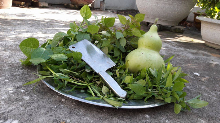 Rau và quả thu hoạch được trong vườn.