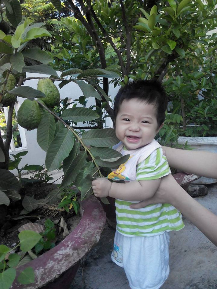 Việc chăm sóc cây, thu hoạch quả trong vườn mỗi ngày cũng là cách thức để anh dạy con khám phá về thế giới bên ngoài.