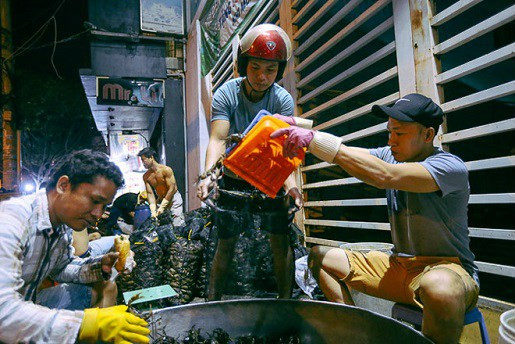 “Xe tải chở đến giao cua, người ít thì trên chục bao người nhiều thì vài chục bao nên phải phân loại cua thật nhanh để kịp giao đến các đầu mối và phải trả mặt bằng, dọn dẹp vệ sinh trước khi trời sáng”, thanh niên lựa cua tại chợ cho biết.