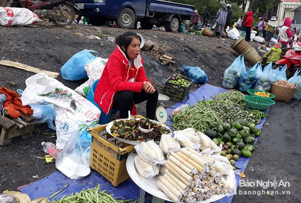 Tại các chợ vùng cao, côn trùng trở thành món ăn đắt hàng với giá bán trung bình 30 nghìn đồng/bát.