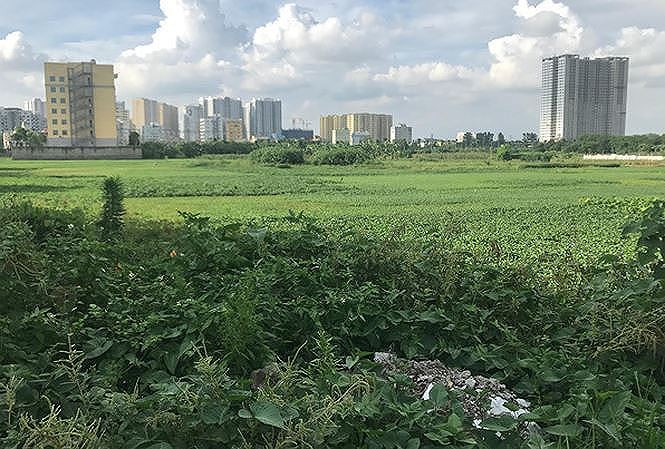 Khu đất Dự án Xây dựng Bệnh viện đa khoa Quang Trung tại Khu đồng Đế Mơ, đường Tam Trinh (phường Yên Sở, Hoàng Mai) do Công ty Cổ phần bệnh viện đa khoa Quang Trung làm chủ đầu tư "đắp chiếu" cả thập kỷ chính thức bị công khai chấm dứt hoạt động.
