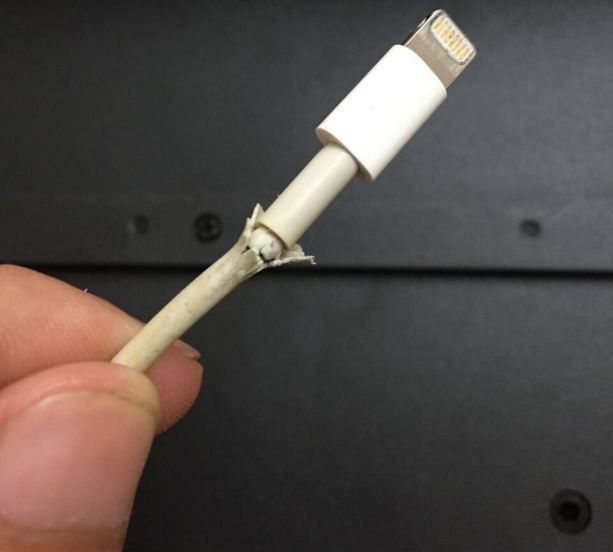 Cáp Lightning: Nếu iPhone, iPad tuyệt vời bao nhiêu thì cáp Lightning dở tệ bấy nhiêu. Dưới vô vàn chỉ trích của người dùng, Apple vẫn không chịu nâng cấp sản phẩm này. Có thể, đây là chiêu bài hút máu của Apple bởi với những sợi cáp nhanh hỏng này, người dùng phải liên tục bỏ tiền mua cáp mới. Tại Việt Nam, những sợi cáp Lightning chính hãng có giá lên đến 500.000 đồng. Bạn hoàn toàn có thể tìm mua những mẫu cáp chất lượng hơn nhiều, vẫn đạt chuẩn MFI (made for iPhone) từ Anker hay Energizer với giá khoảng 300.000 đồng.