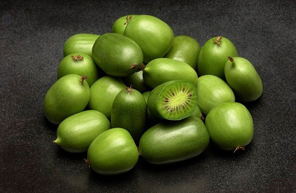 Loại quả này chỉ để được từ 3-4 ngày ở nhiệt độ phòng và 20 ngày nếu bỏ ngăn mát tủ lạnh. Ngoài ra, dịp đầu năm vừa rồi, tại một số tỉnh vùng cao ở Việt Nam cũng xuất hiện loại kiwi rừng giống kiwi berry bởi trái nhỏ, song vỏ màu nâu sậm và có lông, vị chua, chưa xác định rõ nguồn gốc cũng như chất lượng của quả.