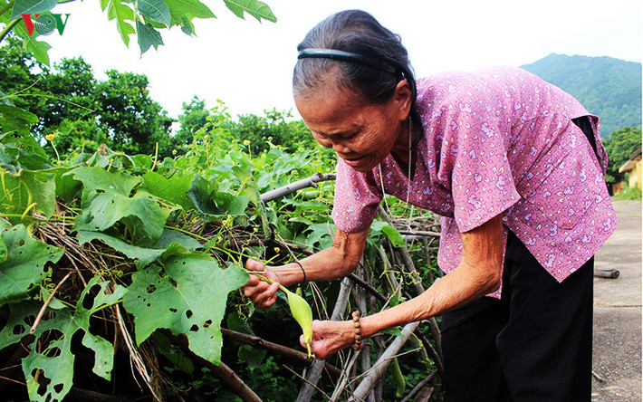 Bà Liên cho biết: "Thi thoảng có một vài người đến thương cảm cho chúng tôi mấy cân gạo, để chúng tôi tiếp tục vượt qua những tháng ngày cuối đời này".