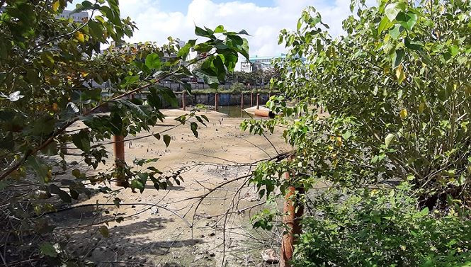 Dự án khu phức hợp trung tâm thương mại, căn hộ cao cấp và khách sạn 5 sao sau hơn chục năm khởi công. Dự án này đã có quyết định đưa vào danh mục thu hồi 7.819m2 đất, chủ đầu tư đã sẵn sàng thống nhất với TP về thu hồi dự án.