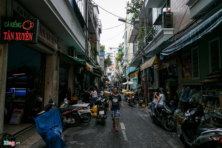 Chỉ dài khoảng 500 m tại khu vực Chợ Lớn (quận 5), nhưng đường Lưu Xuân Tín có hàng chục cửa hàng nằm san sát nhau, chuyên bán cá cảnh và các loại thuỷ sinh, phụ kiện nuôi cá.