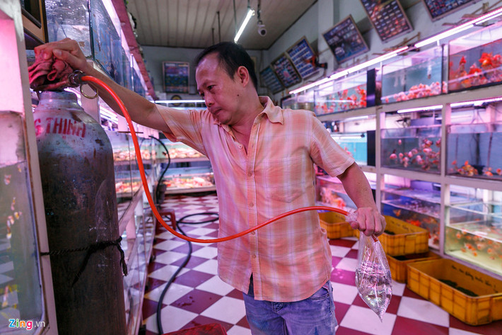 Cũng buôn bán cá cảnh tại đây từ hơn 10 năm nay, ông Võ Thanh Liêm cho hay tình hình kinh doanh hiện nay ổn định nhưng chỉ duy trì ở mức thấp, không còn có những đợt cao điểm như ngày xưa. "Hồi trước, mỗi mùa hè, học sinh tới đây mua cá nhiều lắm, vì lúc đó chưa có mấy phương tiện giải trí, trò chơi điện tử nhiều như bây giờ. Hiện nay, tôi bán cá chủ yếu cho các tiệm và người lớn chơi cá cảnh".