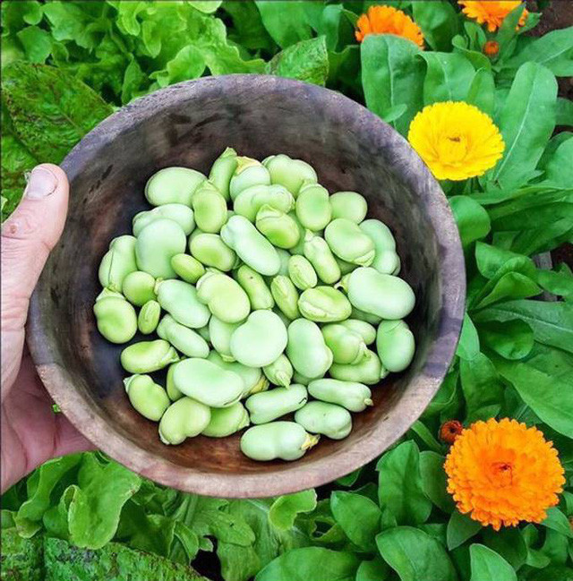 Hiện tại, nhiệt độ tại đó duy trì vào khoảng 32 - 42 độ C còn mùa đông thường có sương giá phủ dày vào buổi sớm.