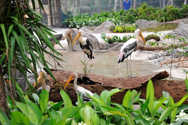 Bên cạnh việc phục vụ du lịch, Vinpearl Safari còn đặt mục tiêu trở thành vườn thú lớn thứ 2 thế giới nhằm bảo tồn vốn quý của thiên nhiên, nâng cao nhận thức và phối hợp hành động trong lĩnh vực bảo tồn động vật hoang dã địa phương, đồng thời là giáo cụ trực quan cho hoạt động giáo dục.