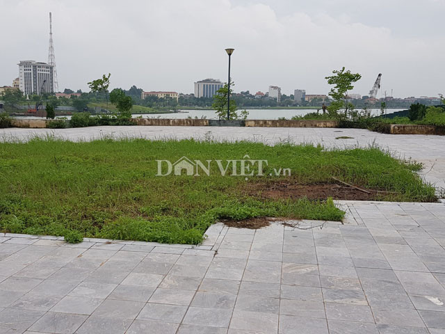 Mặt sân chưa được lát gạch cỏ mọc um tùm.