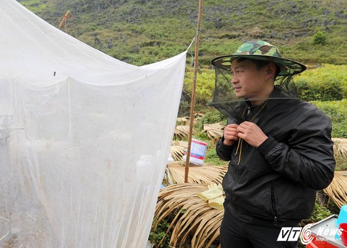 Anh Phạm Ngọc Doanh, người Nam Định đang nuôi ong ở đây cho biết, ong không biết ai là thân, ai là lạ, chỉ cần có động vào tổ của chúng là ngay lập tức cả đàn sẽ bâu vào đốt.