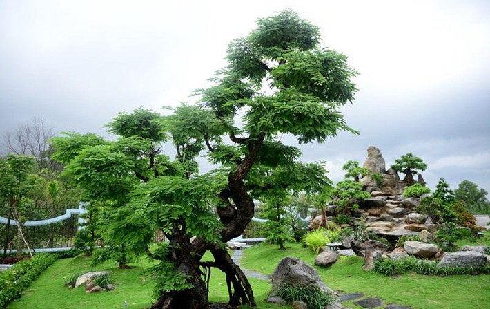 Mặt tiền nhà thờ Tổ nghiệp của danh hài Hoài Linh là những cột đá cẩm thạch trắng, chạm khắc hoa văn hình rồng bay lượn và cây bonsai...