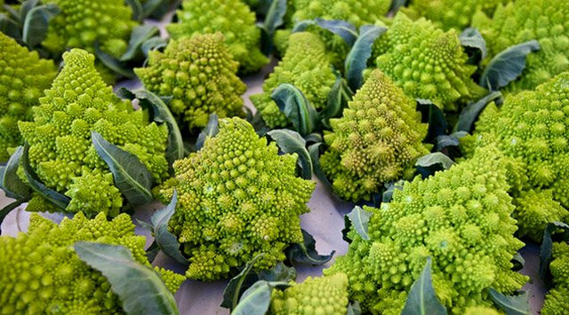 Loại súp lơ có hình dáng tuyệt đẹp này có nguồn gốc từ Ý với tên khoa học là Romanesco. Ở Ý, loại rau này được biết đến như một loại súp lơ còn ở Đức, chúng được biết đến như một loại bắp cải. Ngoài việc có hình dáng ưa nhìn và có vị ngon, Romanesco còn là một trong những loại rau tuyệt vời cho sức khỏe của bạn.