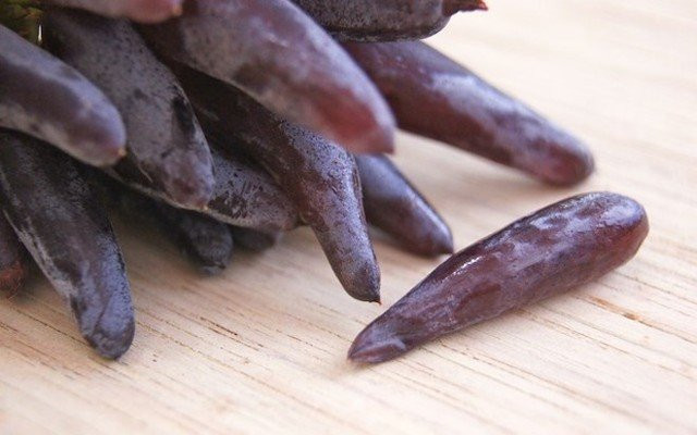 Nho hình tay phù thủy: Giống nho phù thủy này có tên Witch Finger (nho phù thủy) có hình dáng dị thường nhất trong tất cả các loại nho với chiều dài mỗi quả lên tới 4cm và đường kính 1cm. Khác với hình dáng tròn thông thường, những trái nho này có hình dáng thuôn dài như ngón tay người.
