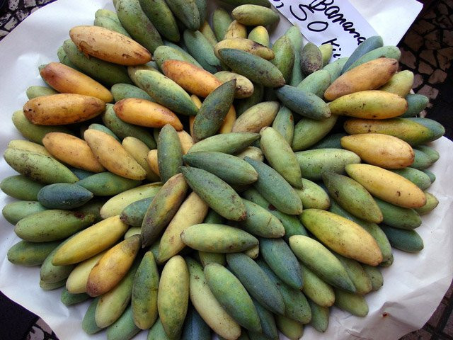 Có hình dáng thuôn dài bầu dục, chanh leo chuối (banana passion) khi chín còn thay "lớp áo" màu nâu sẫm thường thấy bằng màu vàng ruộm bắt mắt. Những trái chanh leo hình chuối này có nguồn gốc từ Nam Mỹ.