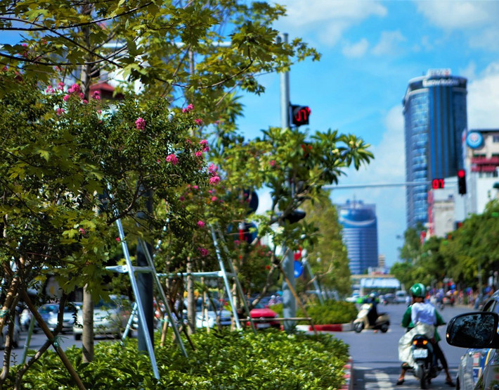 Tầng trên cùng là cây phong, tầng giữa là hoa tường vi cánh mỏng màu hồng và tầng dưới cùng là các loài hoa như: Râm bụt, trang đỏ,… được trồng theo từng đoạn.