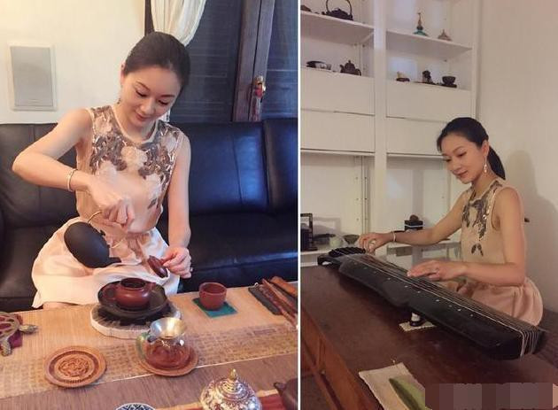 Tuy vậy Trần Đình không phải người cầm vô-lăng bởi Trương Nghệ Mưu đã thuê 3 tài xế riêng cho việc chuyên chở các thành viên trong gia đình.