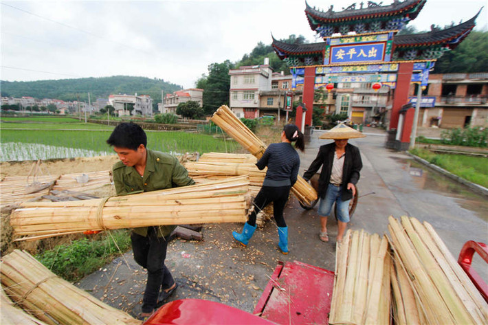 Làng Taolin ở tỉnh Hồ Nam (Trung Quốc) là nơi lưu truyền nghề làm giấy thủ công từ cây tre đã hơn 1.300 năm.