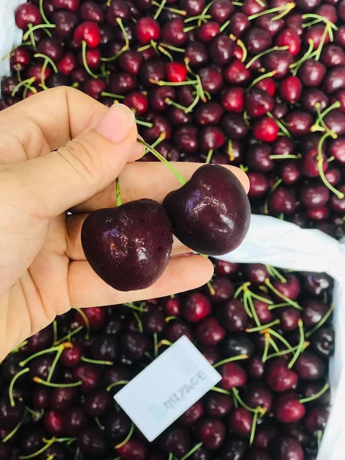 Cherry Mỹ khi ăn rất giòn có vị ngọt thanh dịu. Kích thước quả cherry đạt tiêu chuẩn xuất khẩu phải đạt từ đường kính 27mm trở lên.