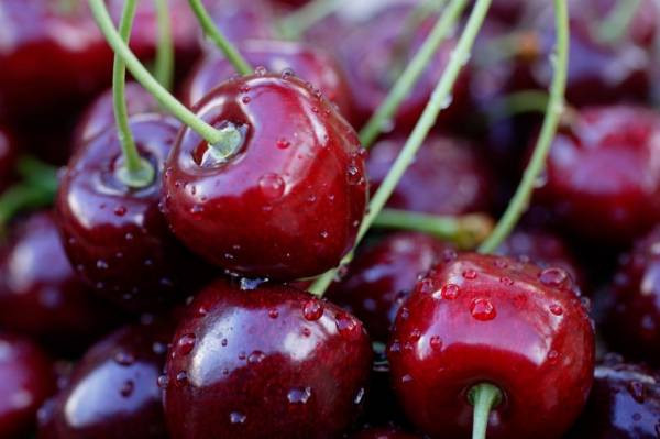 Để phân biệt với cherry Trung Quốc, khách hàng cần lưu ý cherry Mỹ có vỏ ngoài đỏ sẫm hoặc đỏ tươi, vỏ ngoài sáng bóng, trái rất chắc, phần cuống còn màu xanh, mọng nước, nhưng quả không mềm nhũn.
