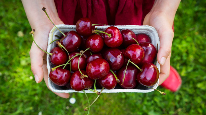 Theo giới buôn trái cây nhập khẩu, cherry Mỹ về Việt Nam hầu hết là giống Skeena, trái đỏ thẫm, ngọt và dày cơm.