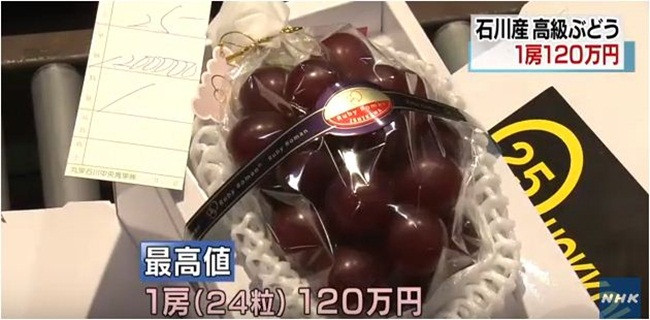 Người chi ra 1,2 triệu yên mua chùm nho năm nay là ông Takashi Hosokawa, 45 tuổi, quản lý nhà nghỉ suối nước nóng ở Nhật.