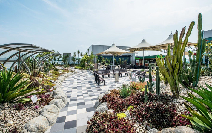 Sân bay Changi được thiết kế theo phong cách độc đáo và được đánh giá là một trong những cảng hàng không có kiến trúc nghệ thuật hàng đầu thế giới. Ảnh: Travel + Leisure.