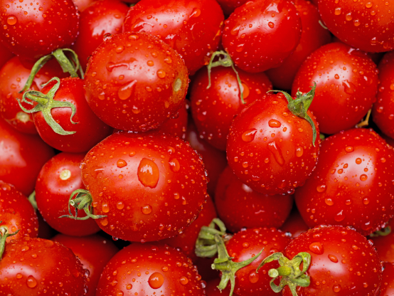 Cà chua nổi tiếng vì có lycopene - chất chống oxy hóa thuộc họ carotenoid, giúp chống lại các bệnh mạn tính. Ngoài ra, cà chua còn giàu vitamin A, C, B2 cũng như folate, crom, kali và chất xơ. Một quả cà chua cỡ vừa chỉ cung cấp khoảng 25 calo.