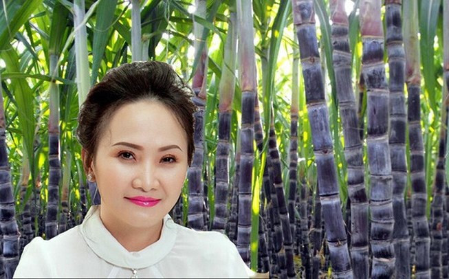 Với việc sở hữu 13,786 triệu cổ phiếu BHS của CTCP Đường Biên Hòa, 5,4 triệu cổ phiếu NHS của CTCP Đường Ninh Hòa, 32,523 triệu cổ phiếu SBT của CTCP Thành Thành Công – Biên Hòa và 84,261 cổ phiếu SCR của SacomReal, tổng giá trị cổ phiếu của bà Ức My tính đến 26/10/2018 (theo toprich.bizlive.vn) là 668 tỷ đồng.