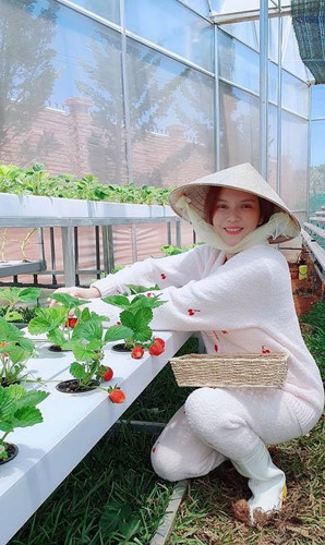 Lý Nhã Kỳ cho biết sẽ dành một phần đất xây dựng khu nghỉ dưỡng. Tháng 10 năm nay, cô dự định mời bạn bè tham gia tour nghỉ dưỡng kết hợp thu hoạch rau quả vườn nhà do mình tự thiết kế.