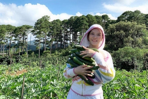 Mới đây, Lý Nhã Kỳ tiết lộ việc mua 50 hecta đất đồi cách trung tâm Đà Lạt khoảng 20 km, bên cạnh rừng thông.