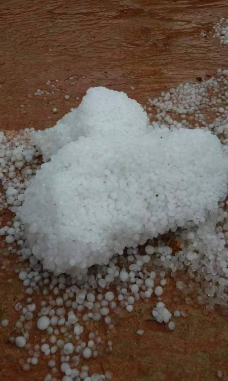 Đầu giờ chiều ngày 2/4, một trận mưa đá lớn, kéo dài khoảng 30 phút đã trút xuống TP Đà Lạt, gây thiệt hại cho nhiều vùng sản xuất nông nghiệp. Mưa đá kèm theo lốc xoáy, làm hư hại nhiều diện tích hoa màu trồng ngoài trời của bà con nông dân, nhưng chưa có thống kê cụ thể.