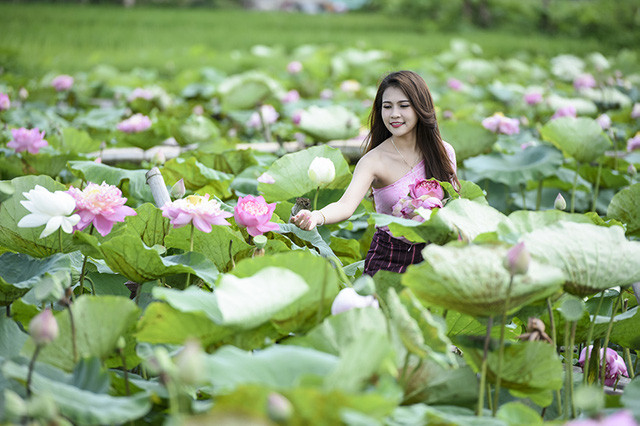 Cũng giống như bộ ảnh hoa loa kèn trước đây, những bức ảnh mới của Duangpasong Anisone được rất nhiều người chú ý sau khi đăng tải. Ngoài ra không ngớt những lời khen cho cô nàng về sự duyên dáng và nét đẹp thanh tú từ hình thể tới khuôn mặt.