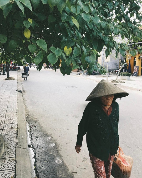 Tiếp đến là Ninh Bình với một cố đô Hoa Lư lặng lẽ và thanh bình. Cũng là mê cung núi nhưng trên cạn, chú dê núi, những đám ruộng trơ gốc rạ, hệ thống hang động nằm ẩn mình bên dưới những hòn núi nhỏ... tất cả làm nên một Ninh Bình mộc mạc giản dị nhưng cũng không kém phần quyến rũ và bí ẩn.